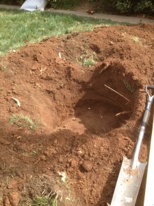 Read more about the article Digging A Proper Hole